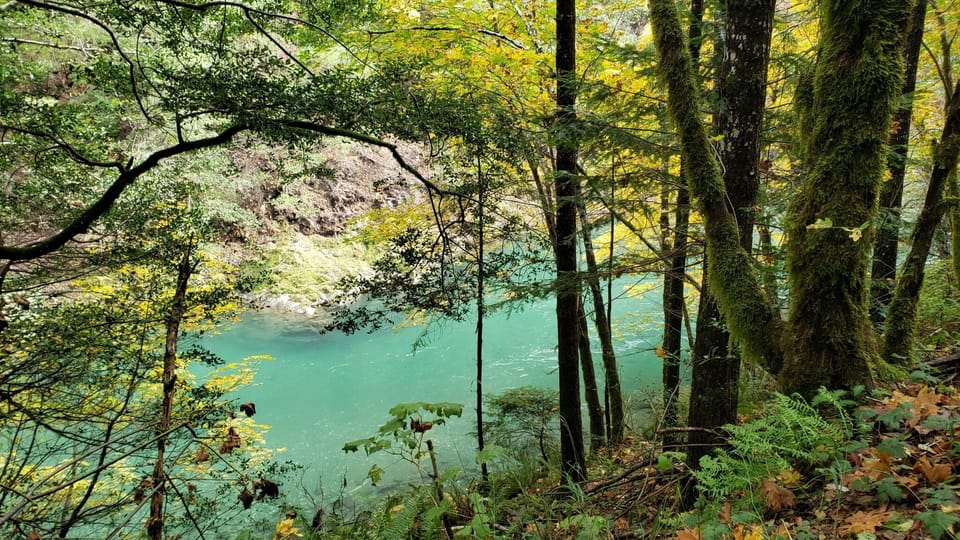 Elk River/Elk River Rd.  Beautiful, many places for day use and River access.