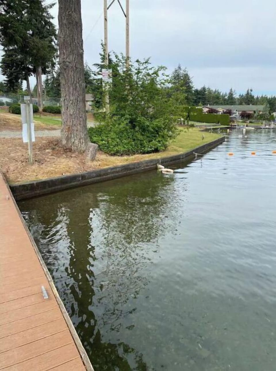 Lake