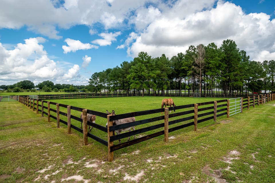 sample of one of 7 paddocks