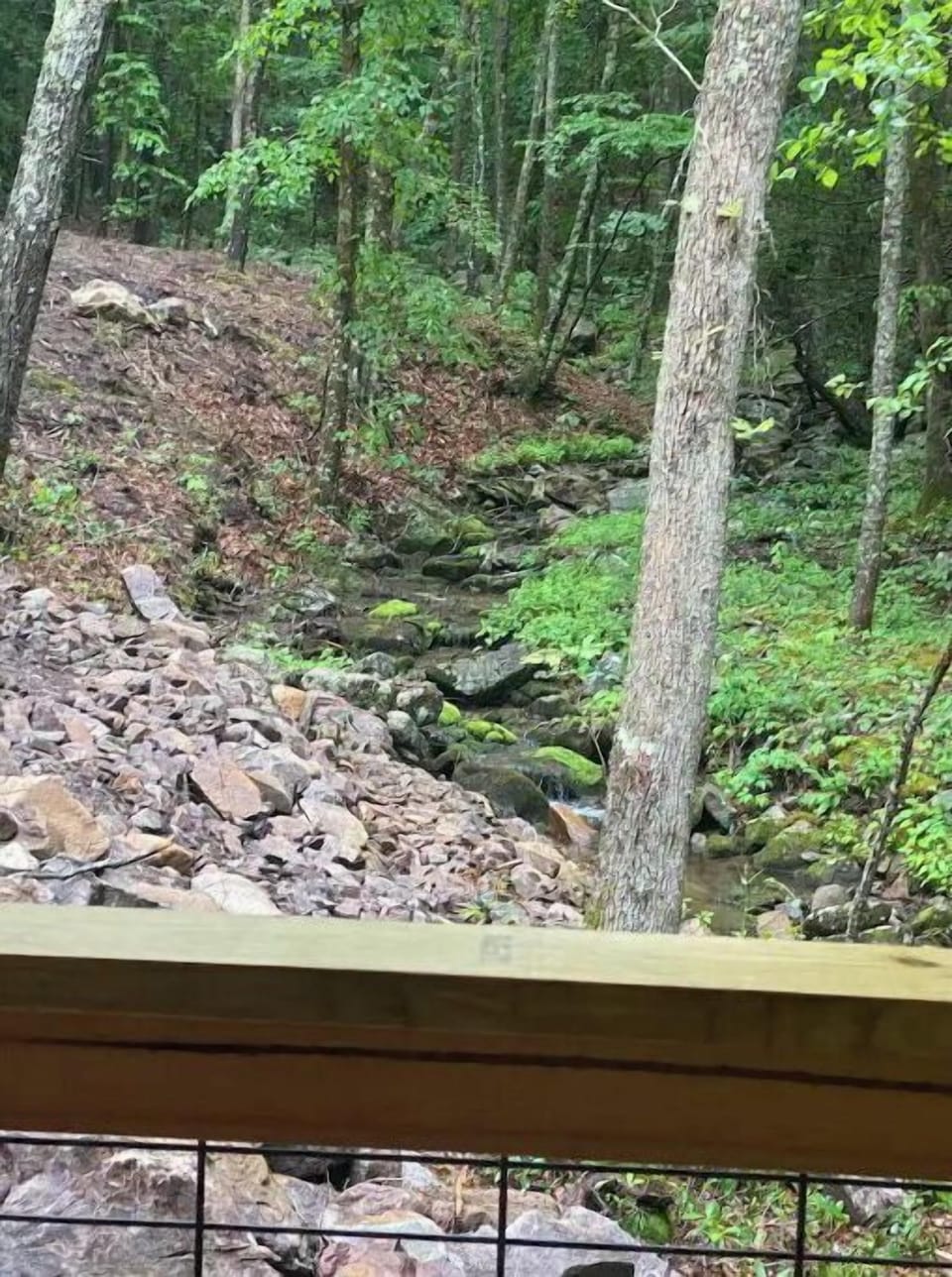 View from property