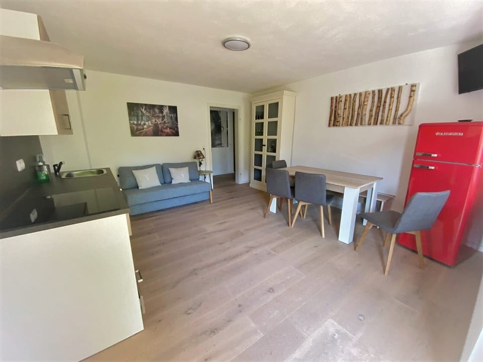 Family Apartment | Living area | 40-inch flat-screen TV with satellite channels, TV