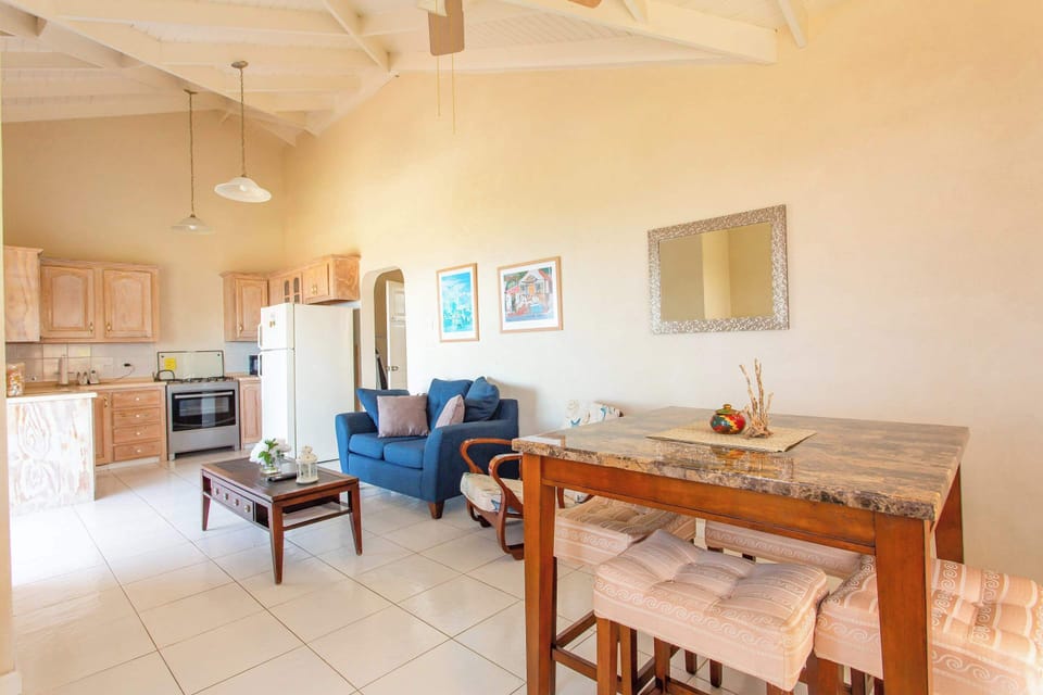 Luminous with high-ceiling & a great space for downtime at home