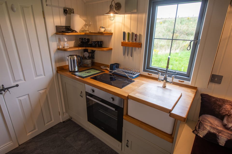 Fridge, cookware/dishes/utensils
