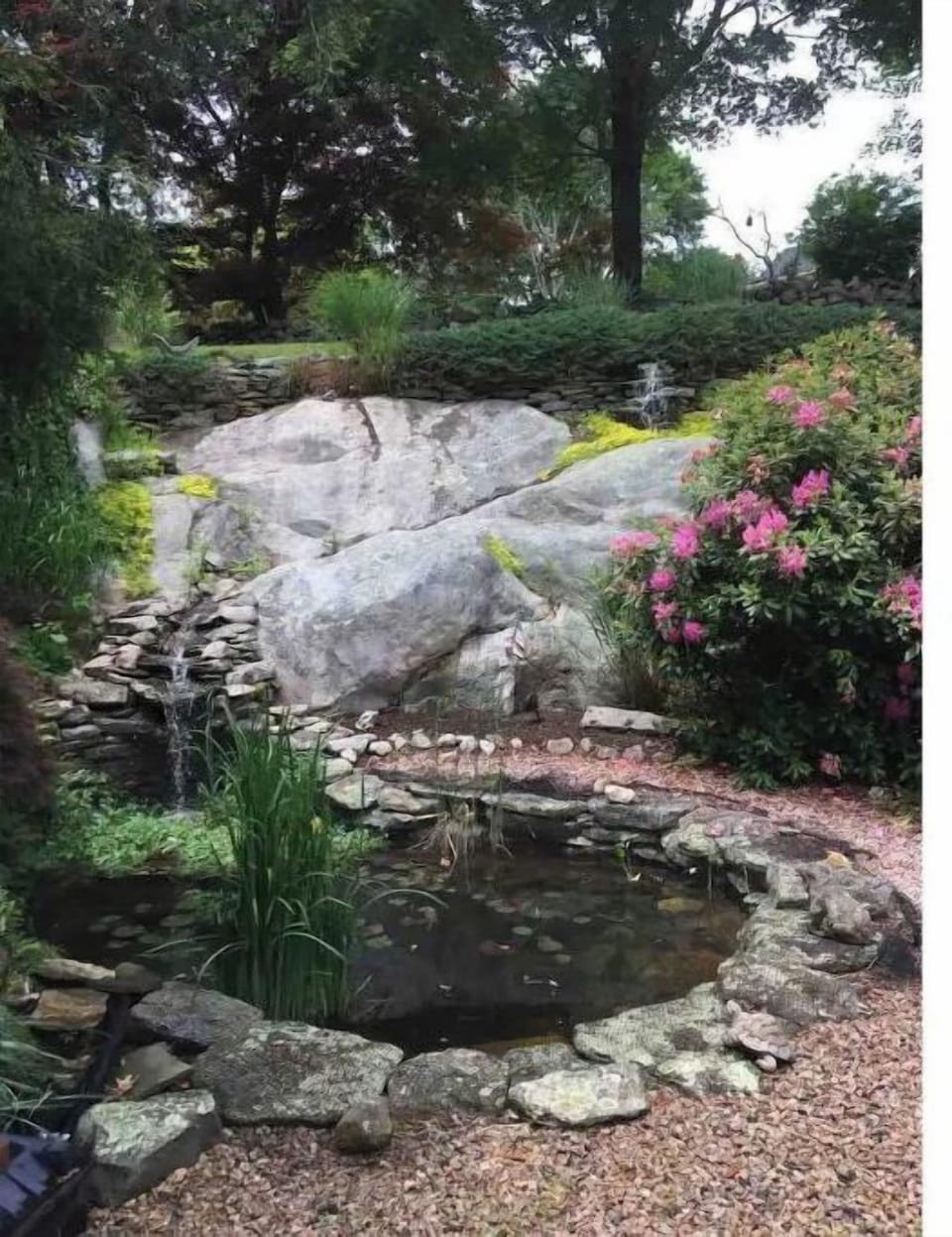 Fishpond with cascading waterfall 