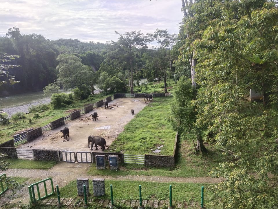 Ecotours