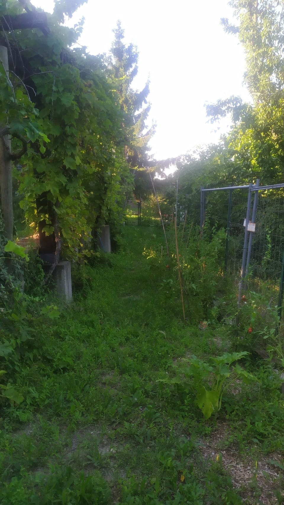 Property grounds