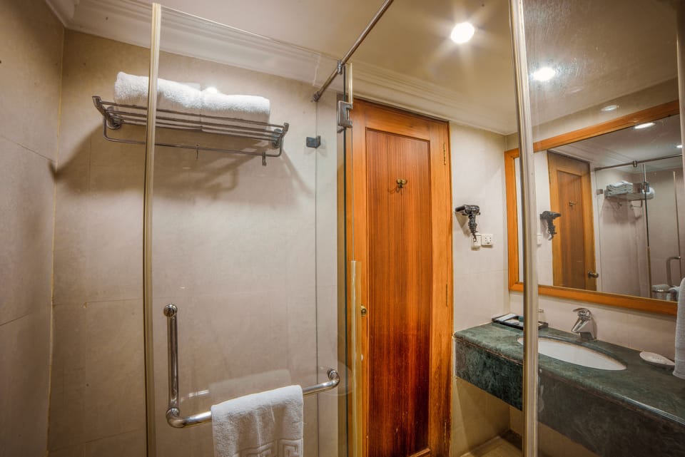 Deluxe Room | Bathroom | Free toiletries, towels