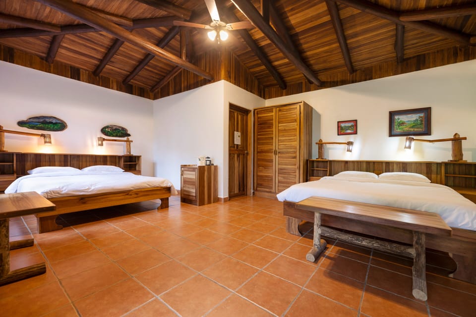 Deluxe Room | View from room