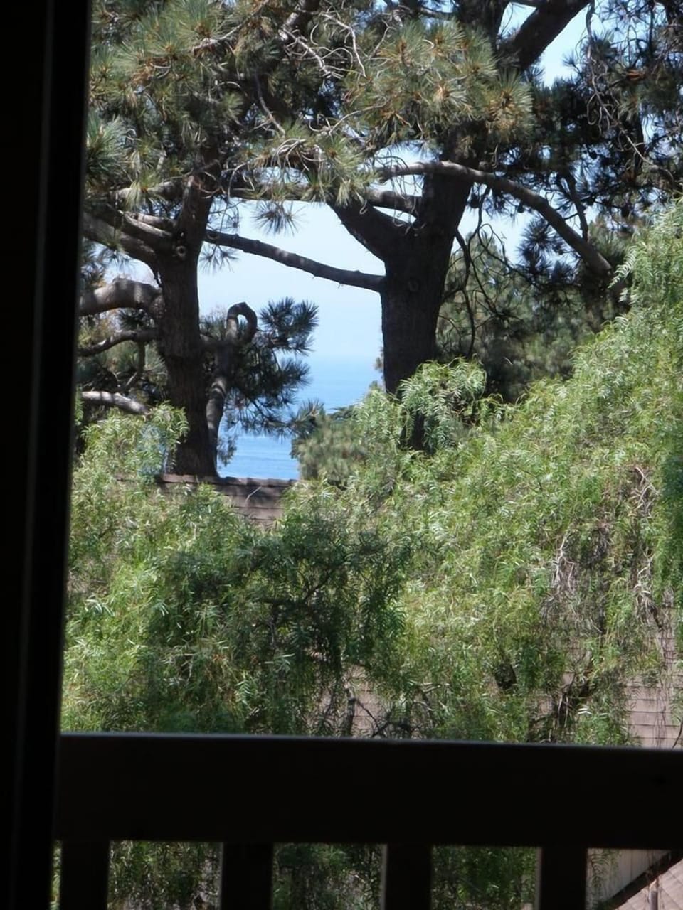 View from room