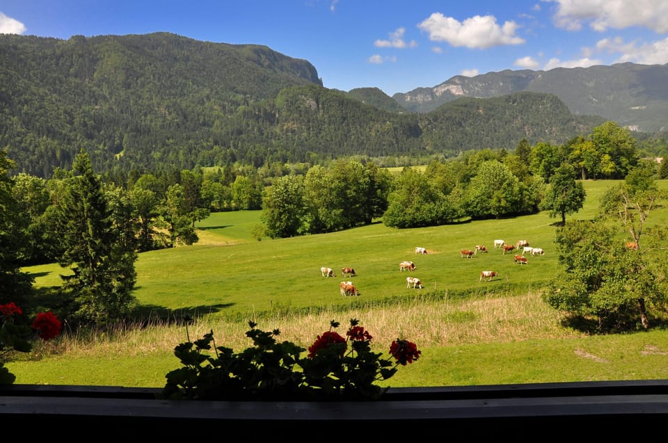 Standard Double Room | Balcony