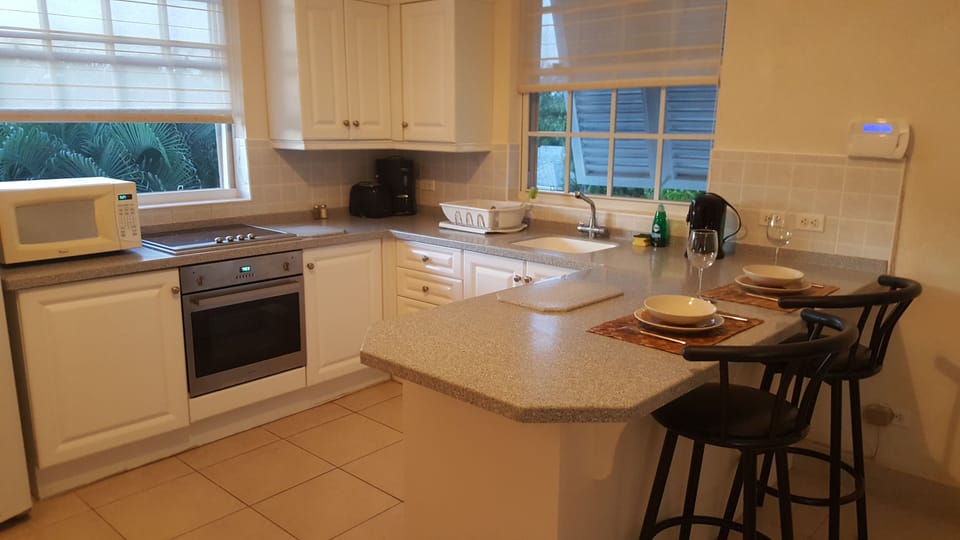 Penthouse | Private kitchen | Full-size fridge, coffee/tea maker, electric kettle