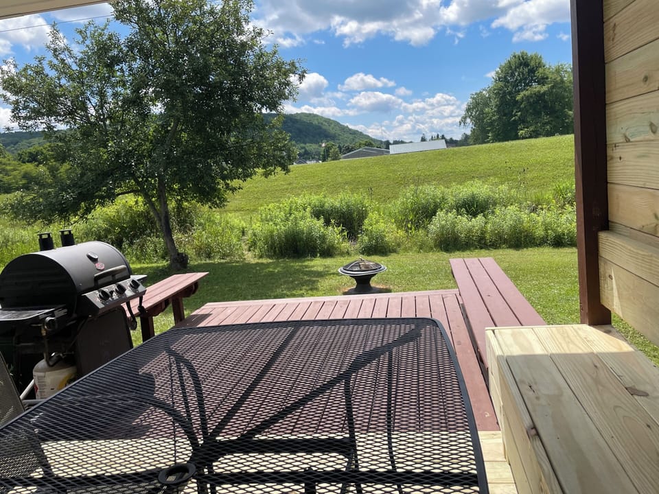 Lg back deck w/ gas grill, table, privacy fence, fire pit. Park & Mountain View