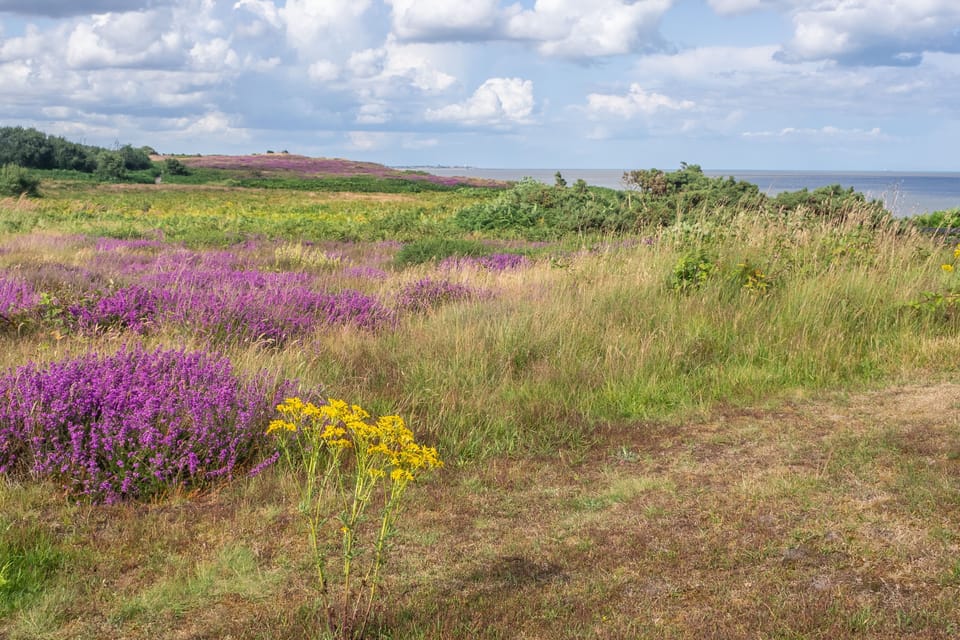 Tipple Cottage, Peasenhall: Dunwich Heath makes for a great day out