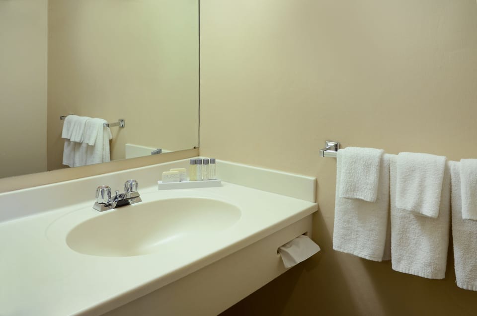 Combined shower/tub, eco-friendly toiletries, hair dryer, towels