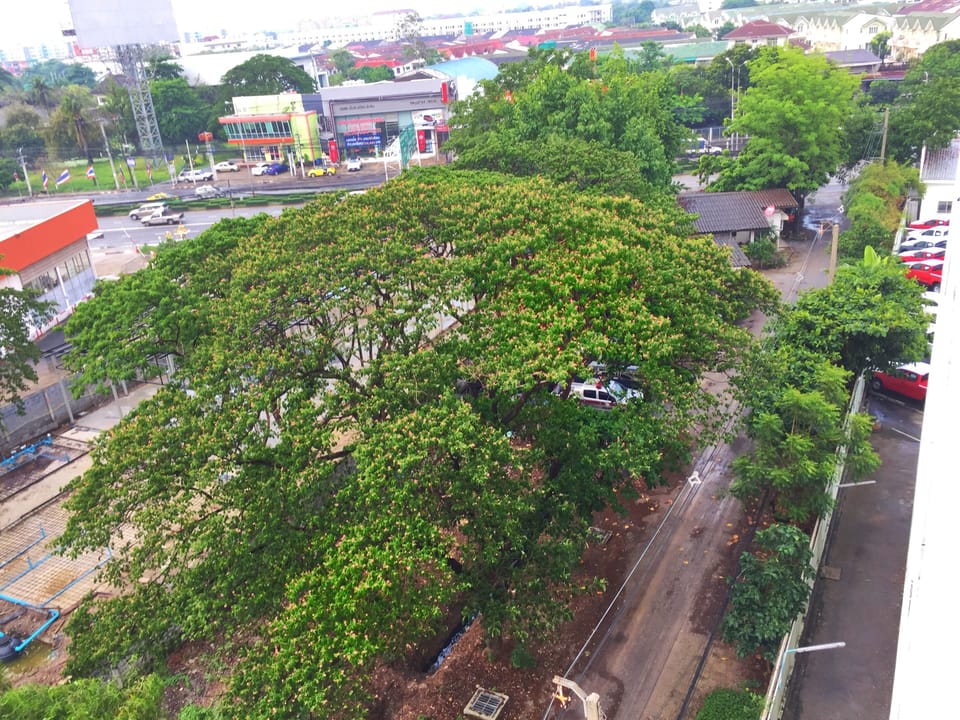 View from property