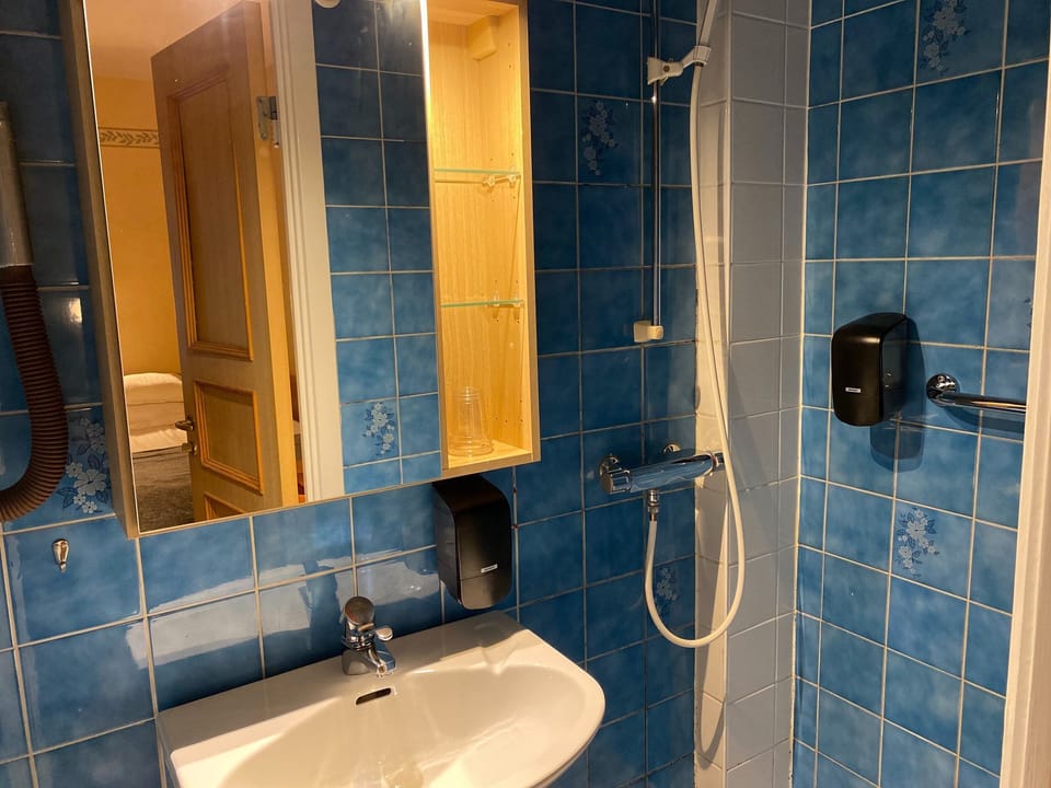 Standard Triple Room | Bathroom | Free toiletries, hair dryer, towels