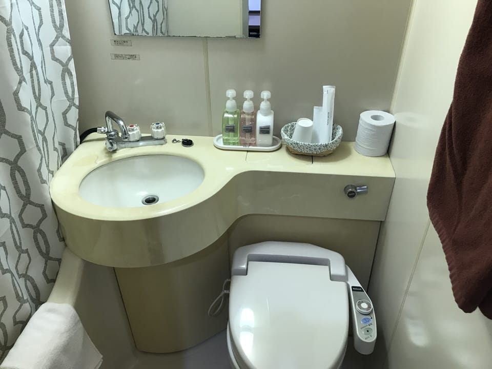 Hair dryer (on request), slippers, electronic bidet, towels