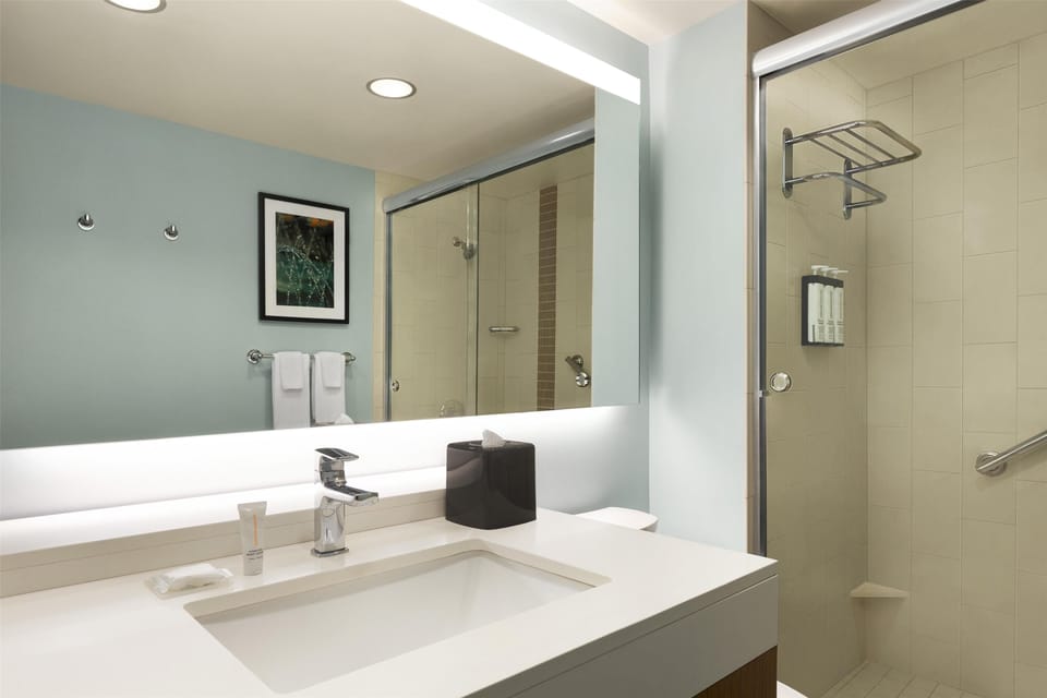 Designer toiletries, hair dryer, towels