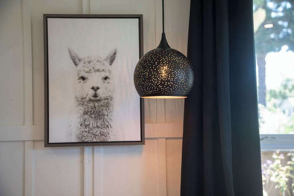 31. Historic Wood Walls and Boho Inspired Art Add to the Fun.