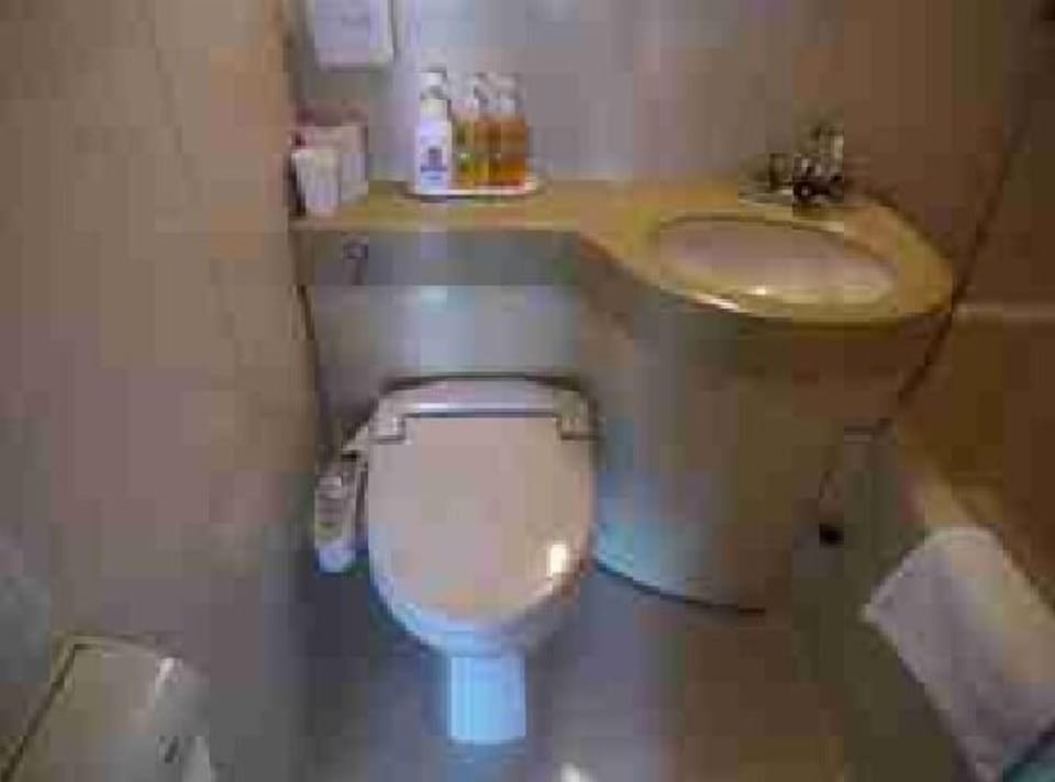 Hair dryer, slippers, electronic bidet, towels
