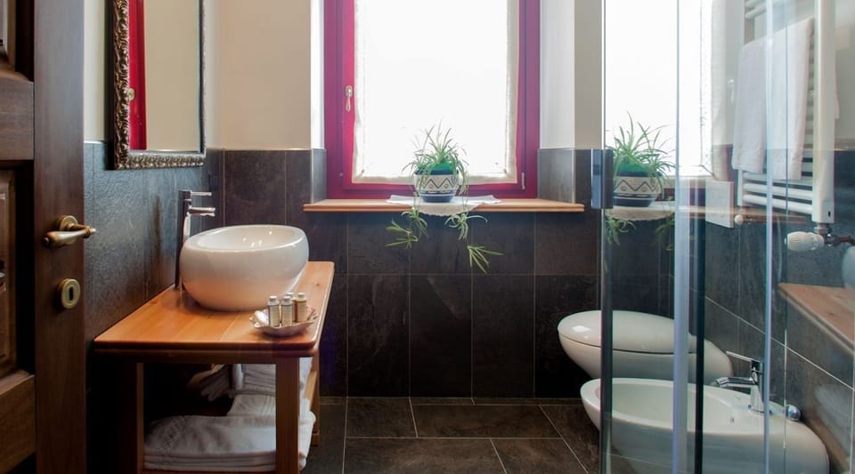 Shower, free toiletries, hair dryer, bidet