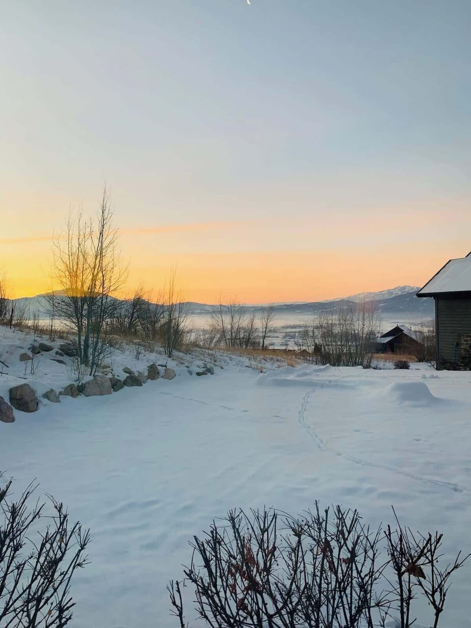 Winter view from living space