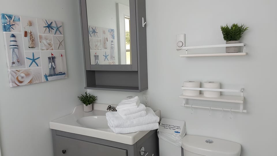 Downstairs Bathroom (1)