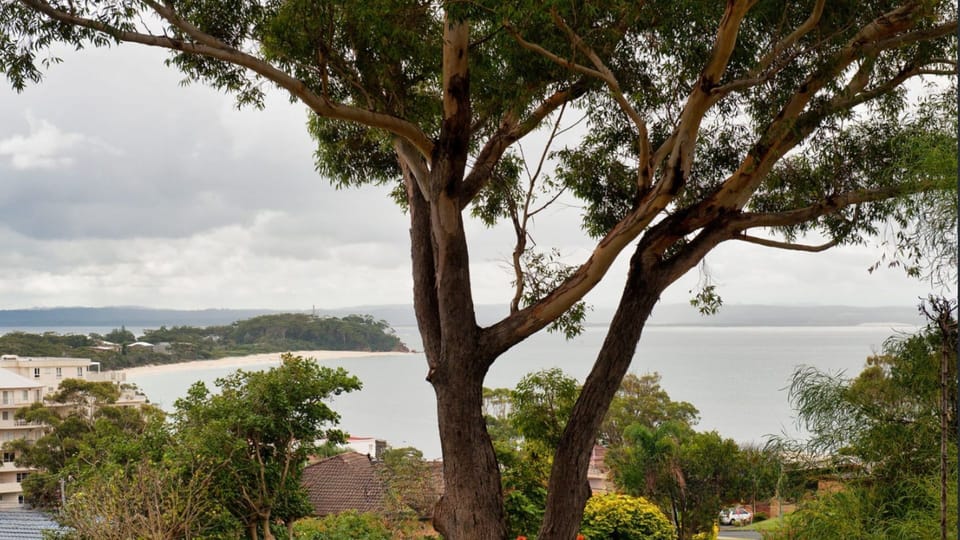 Shoal Bay Oasis | Distant water views