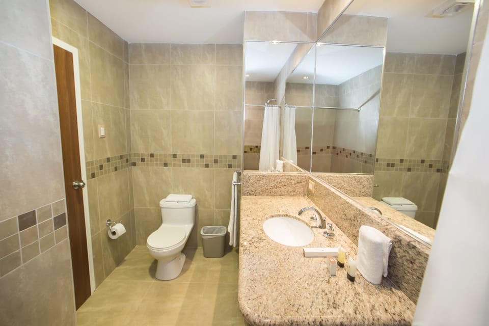 Shower, free toiletries, hair dryer, towels
