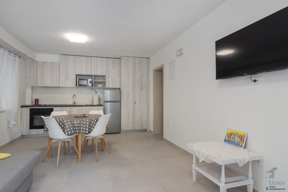 Fully equipped kitchen with dining and living area