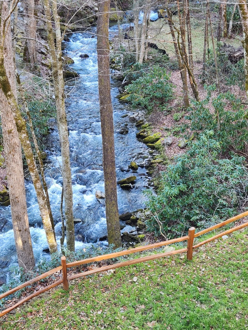 View from the back deck.