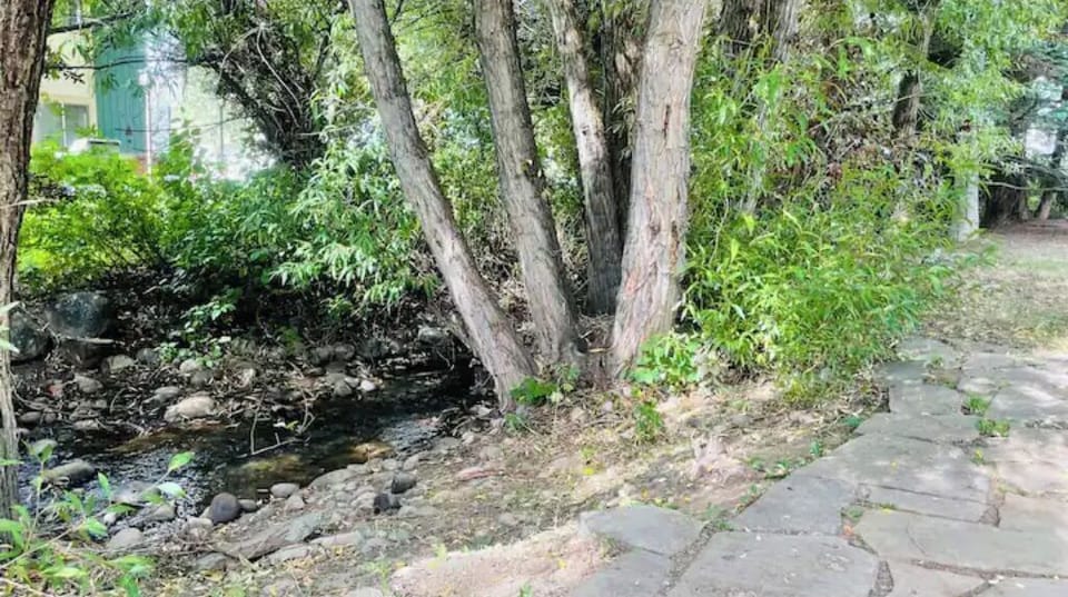 Seasonal stream flows through the backyard. Great Patio area