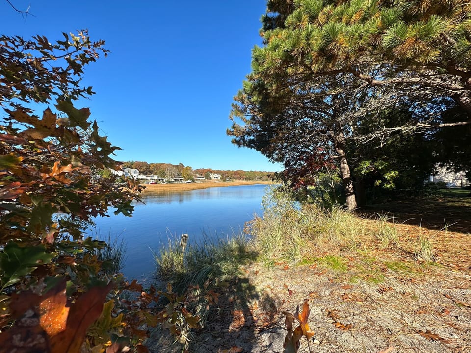 Neighborhood canoe launch area (guests free to use).  1 min walk from home