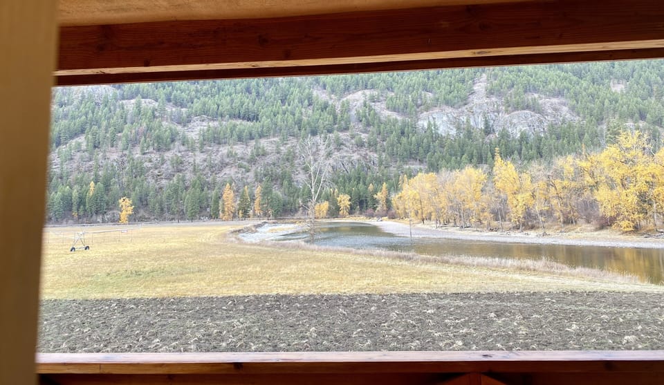 View from property