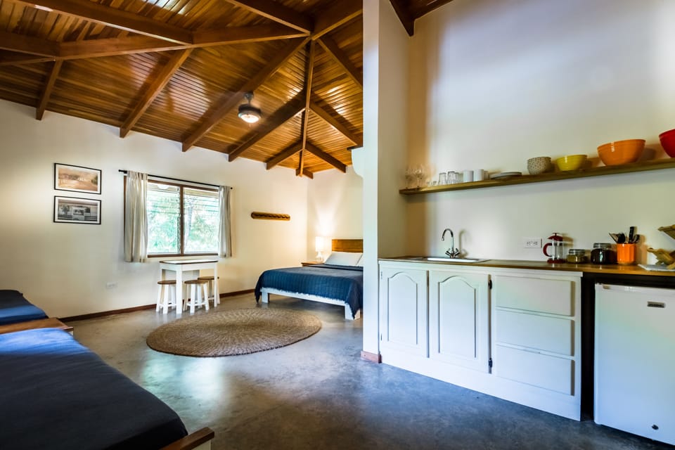 Deluxe Room | Private kitchenette | Fridge, coffee/tea maker, electric kettle, cookware/dishes/utensils