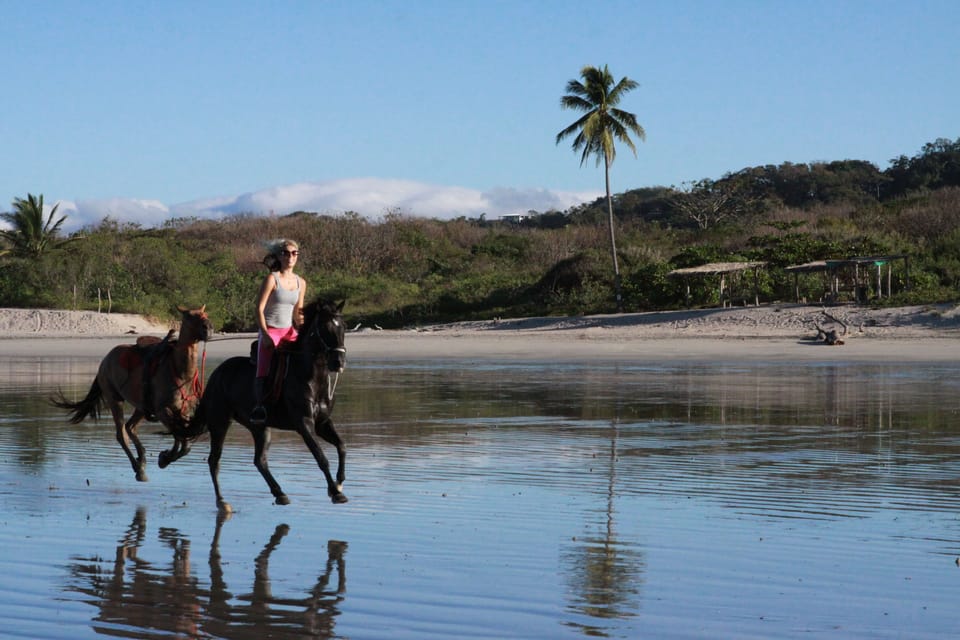 Sunset Shack Hotel Hotel in Guanacaste Province