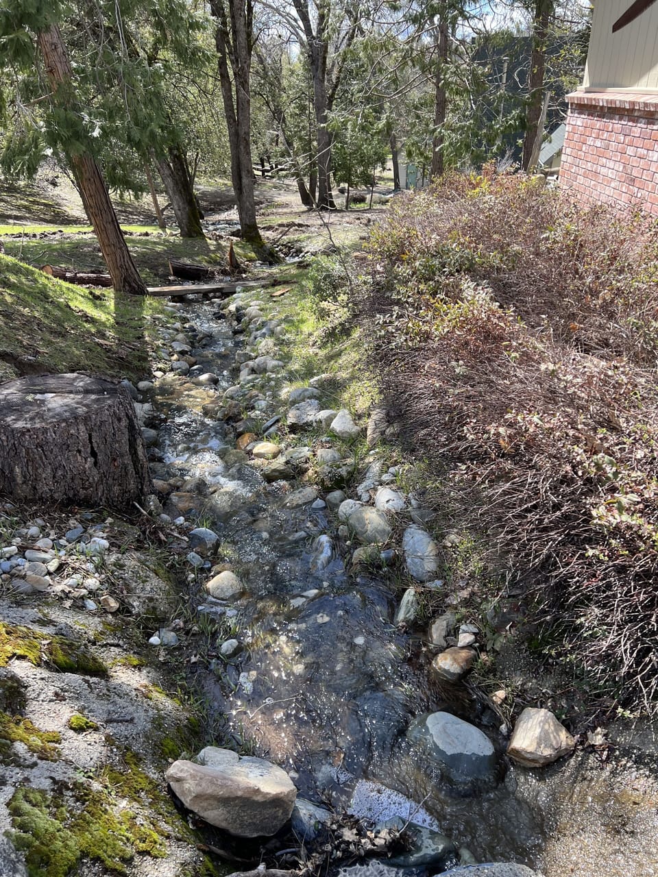 Seasonal Creek 