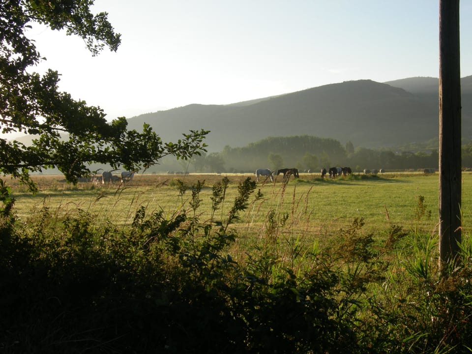 Mountain view