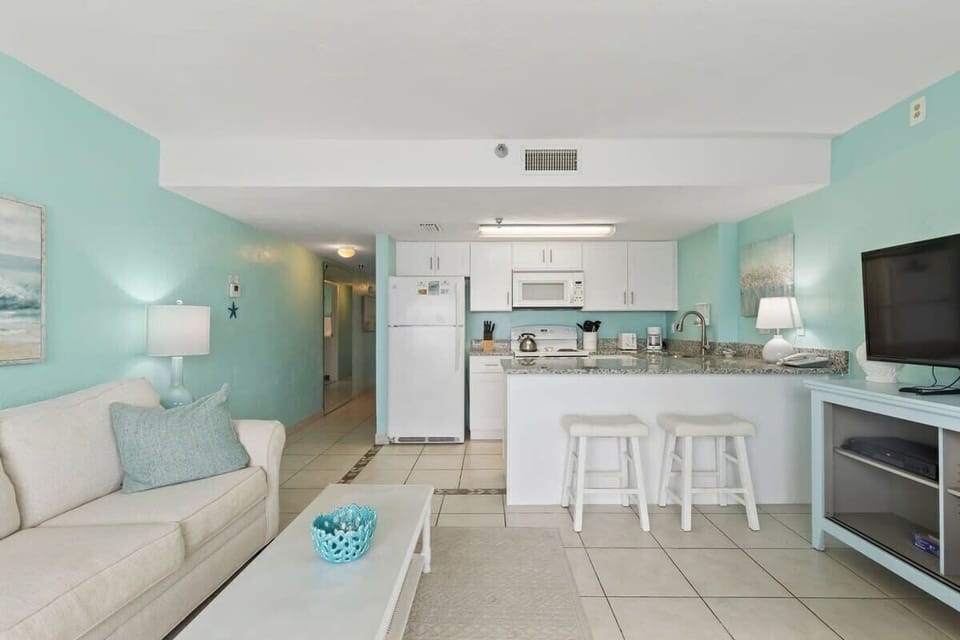 Living and Kitchen Area