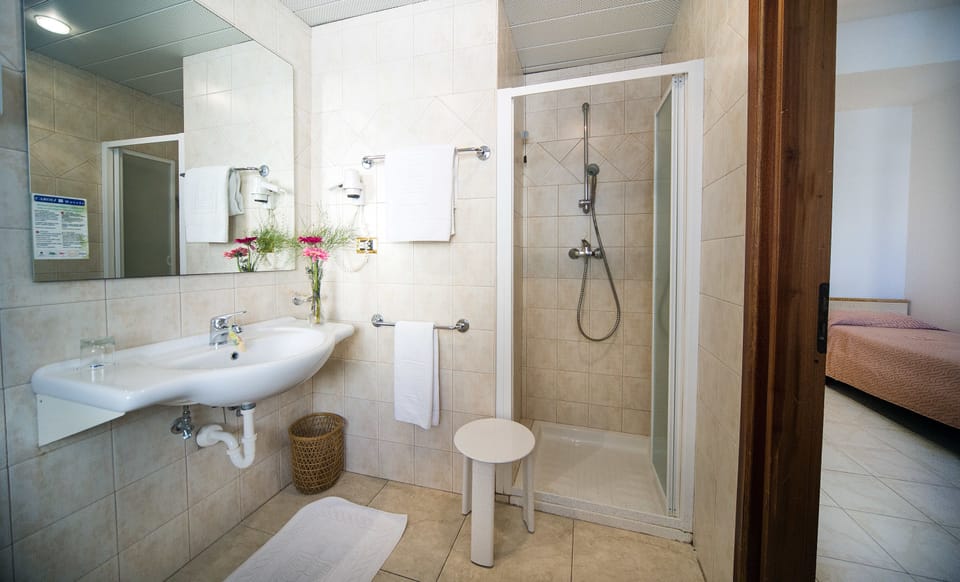 Combined shower/tub, free toiletries, hair dryer, bidet