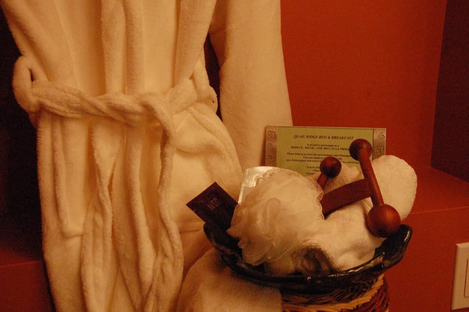 Combined shower/tub, hair dryer, bathrobes, towels