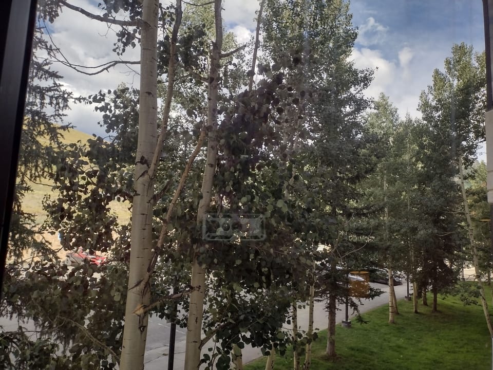 View of ski hill through Aspen Grove