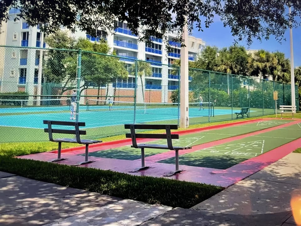 Sport court