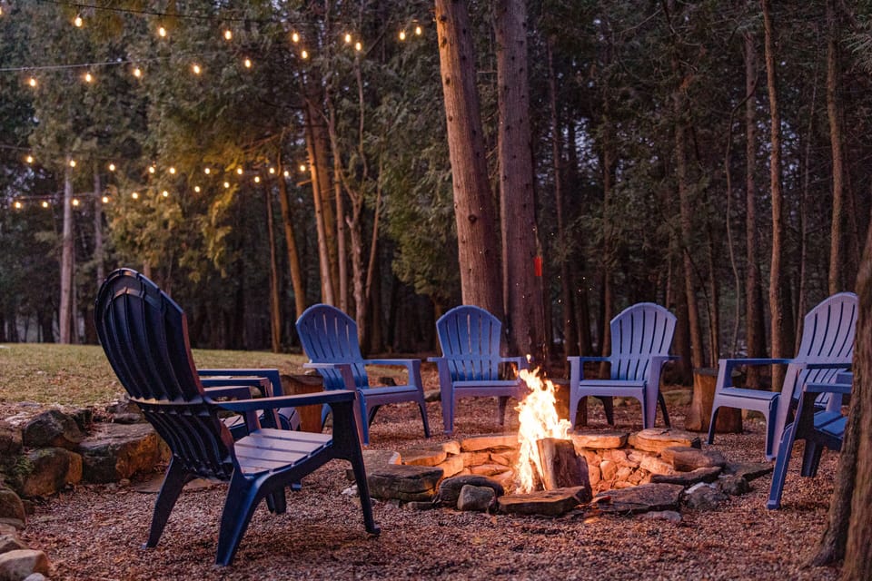 Backyard oasis