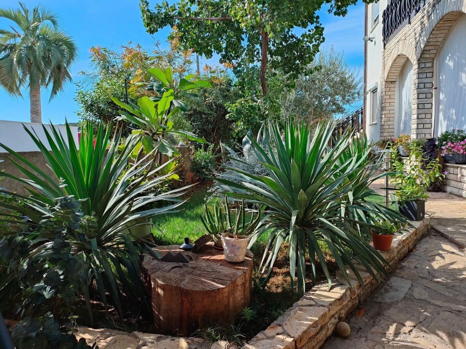 Apartments Snježana Carev Bed and Breakfast in Tisno
