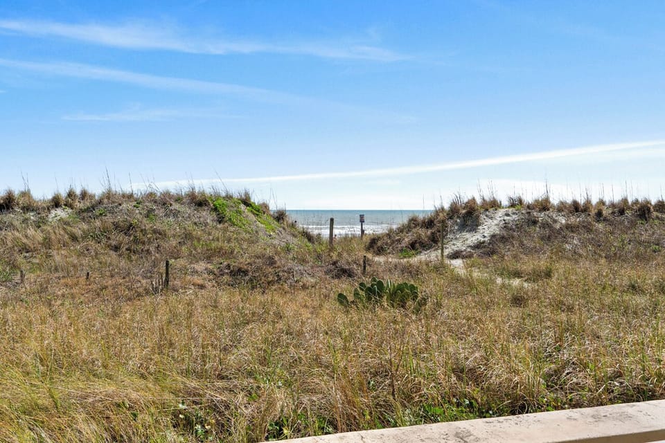 Can see some of the ocean from the ground level.