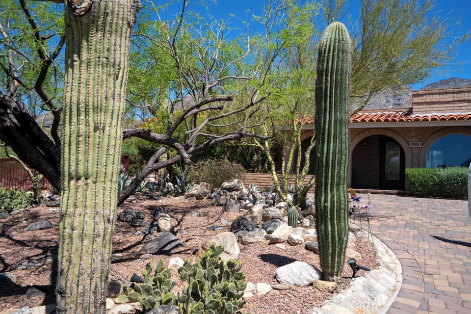 Outside the home there is desert landscaping featuring Saguaros, Palo Verdes, and other unique plants.
