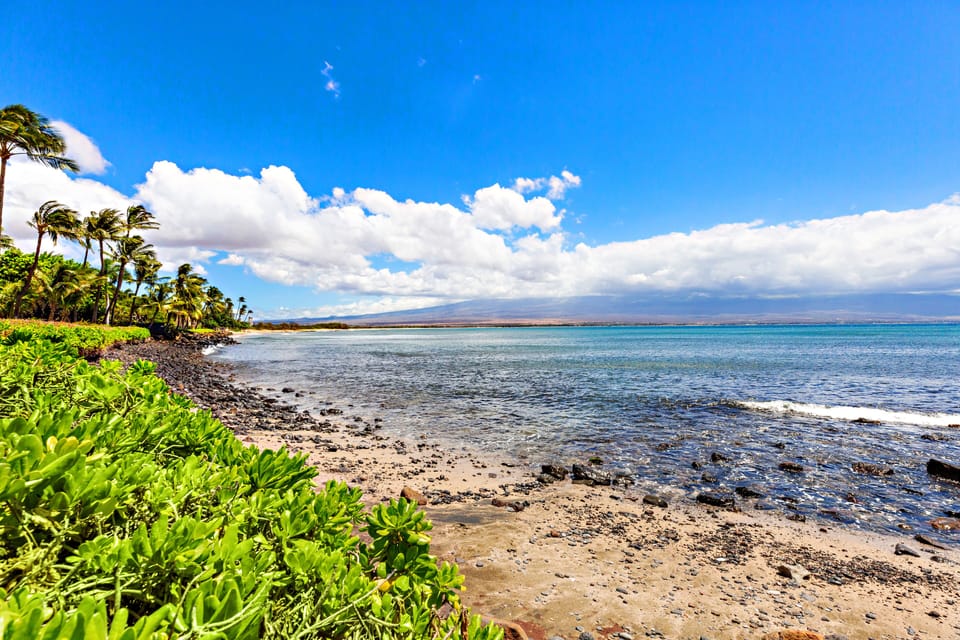 Rocky shoreline
