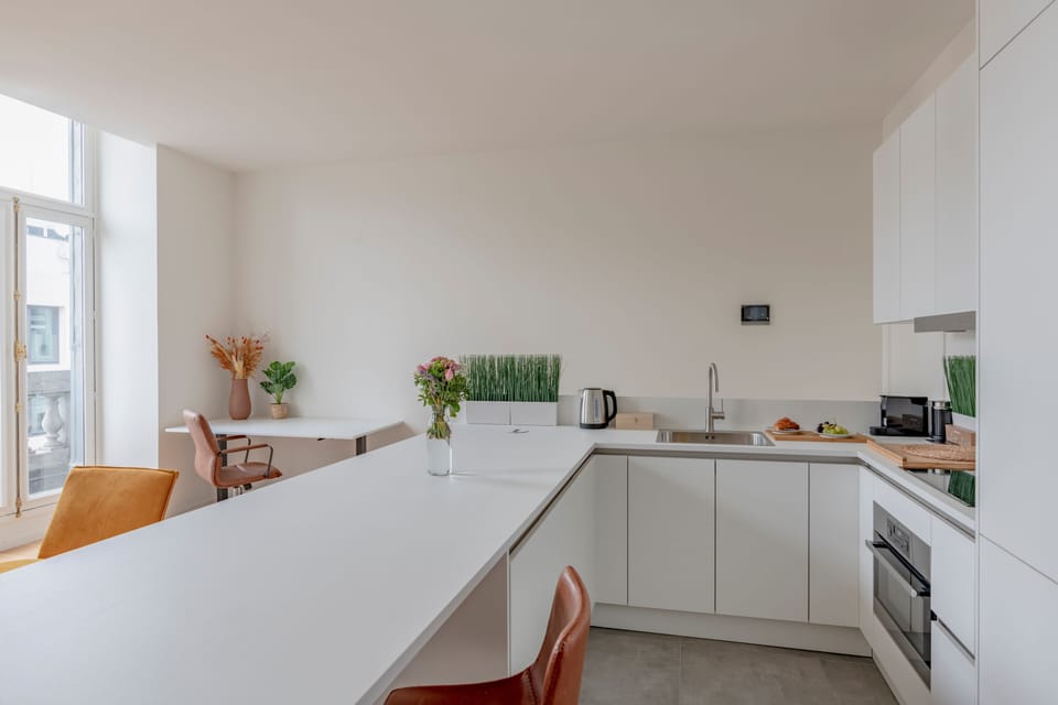 Deluxe Apartment | Private kitchen | Full-size fridge, microwave, oven, stovetop