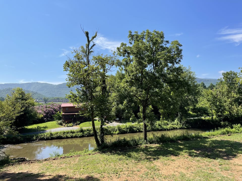 Creek front and Mountain View 
